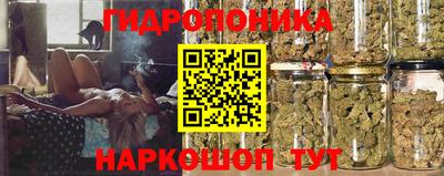 стафф Конаково