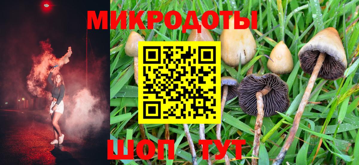 Псилоцибиновые грибы Cubensis  Галлюциногенные грибы GOLDEN TEACHER  Вход с VPN  наркошоп  Юрга 