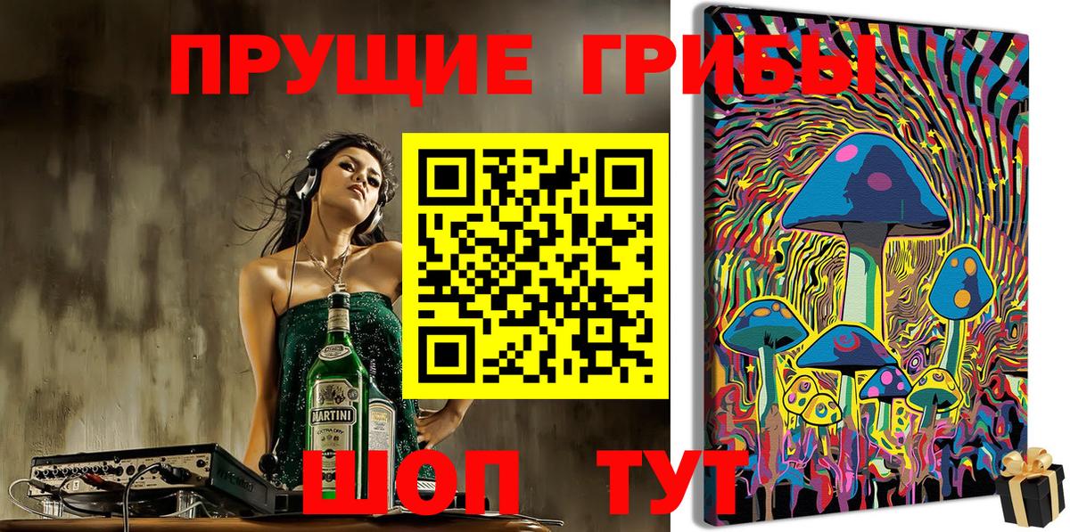 Псилоцибиновые грибы Cubensis Юрга