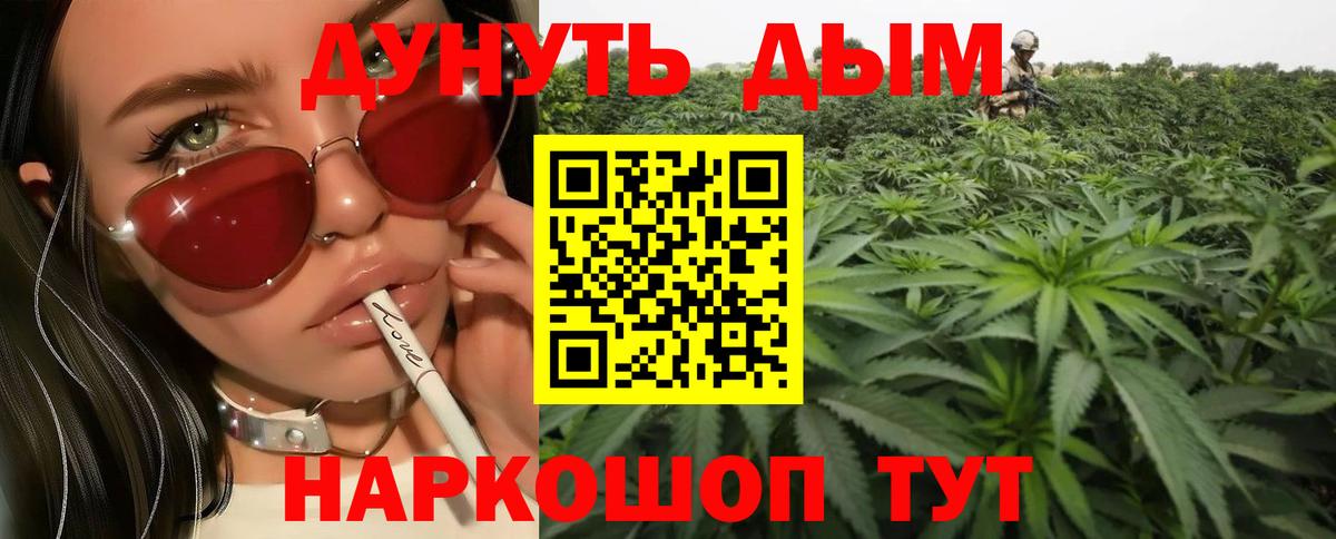 Шишки марихуана семена  Канабис план  Вход с VPN  Конопля Bruce Banner  Юрга 